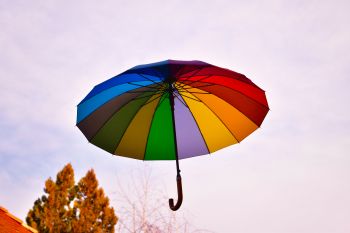 All of Wyoming, Colorado, Idaho & Arizona Umbrella Insurance